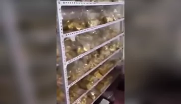 Yolsuzlukla suçlanan belediye başkanı için idam kararı! Evinden çıkanlar ekonomiyi sarsar...