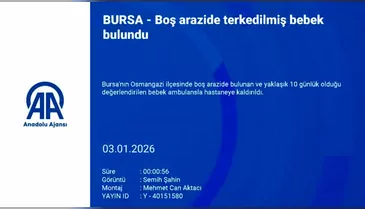 Bursa'da yürekleri sızlatan olay: Ses duyup gittiler