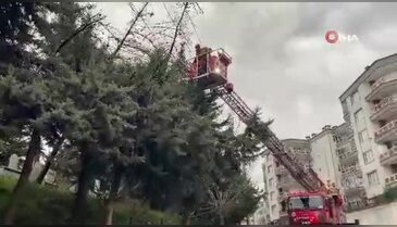 Bursa'da elektrik hatları zarar gördü