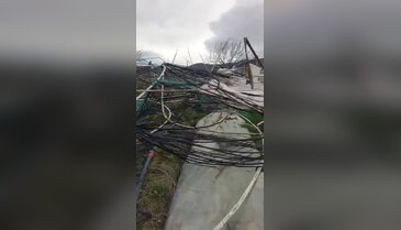 Bursa'da tarla ve seralar yerle bir oldu!