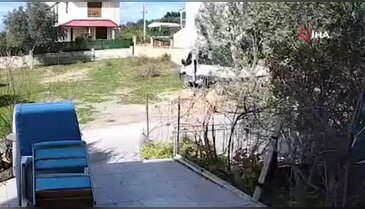 Yerde yatan köpeği ezip yoluna devam etti!