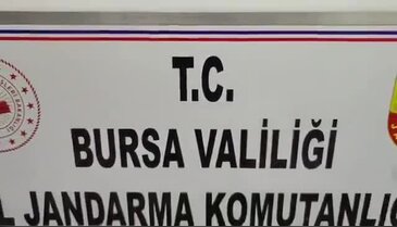 Bursa Jandarması'ndan silah kaçakçılarına darbe! Resmen cephanelik çıktı...