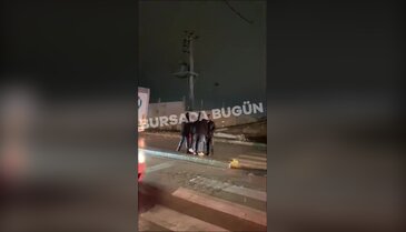 Bursa'da yağış kazayı beraberinde getirdi: Facianın eşiğinden dönüldü