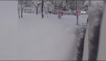 "Denize giremedik bari karda yüzelim" dedi, karda kulaç attı