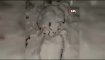 Çığın altında kalan çoban öldü!