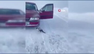Sivas'ta yürek ısıtan kurtarma: Donmak üzere olan yavru hayata tutundu