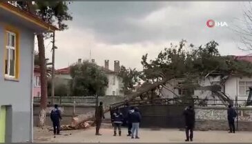 Bursa'da korkunç anlar! Dev ağaç okul bahçesine devrildi