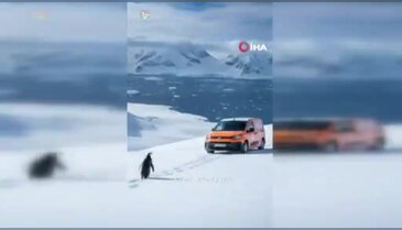 Penguen akımı Bursa'ya sıçradı! Başkan Yılmaz, "Nereye gittiğini merak edenler olmuş" dedi