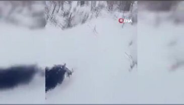 Fırtınada kaybolan kuzu 3 gün sonra sağ bulundu!