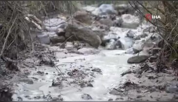Bursa'da çevre felaketi! Belediye başkanı devreye girdi