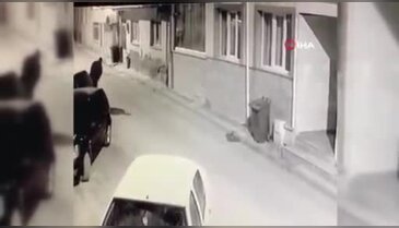 Bursa İnegöl'de akılalmaz görüntüler: Sokak sokak gezip dehşet saçtı!