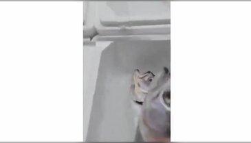 Etiketteki rakam yanlış sandı, aldığı cevapla şaşkınlığı katlandı!
