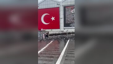 Bursa'da iç ısıtan görüntü! Yağışa rağmen...
