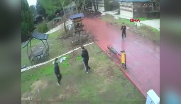 Adana'da çocuklar parktaki kuş yuvasını parçaladı: o anlar kamerada