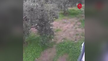 Bursa'da bağ evinden hırsızlık güvenlik kamerasında! Sistemi komple sökerek götürmüş....