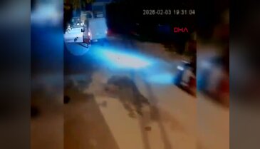 Cani sürücü araca havladı diye köpeği ezdi!