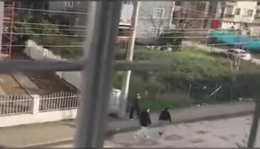 Gençliğin gidişat vahim! Sokak ortasında havaya ateş ettiler...