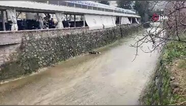 Bursa'da dereye düşen adam kalp masajıyla hayata döndürüldü
