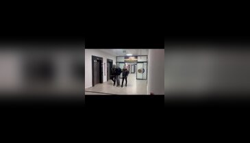 Yalova'da kuyumcu soygunu zanlıları yakalandı!