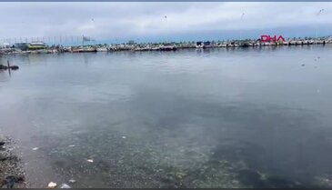 Bursa'da 5 yaşındaki oğlunun ölümüne neden olan anneden korkunç ifade!