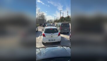 Bursalılar bu görüntülerden bıktı! "Onlar daha mı akıllı?"