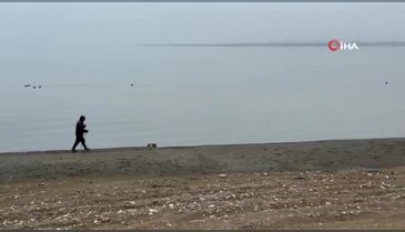 İznik Gölü'nde kuraklık alarmı: Yağışlara rağmen çekilme sürüyor