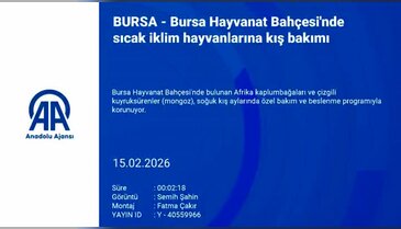 Bursa Hayvanat Bahçesi'nde sıcak iklim hayvanlarına kış bakımı
