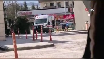 Ceviz ağacından düşen yaşlı adam ağır yaralandı