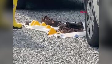 Aydın'da yaşlı çift evlerinde ölü bulunmuştu!