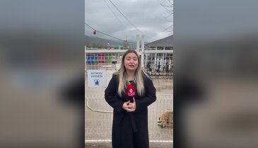 Bursa'da 400 can için umut! Pati-Sev Derneği destek bekliyor...