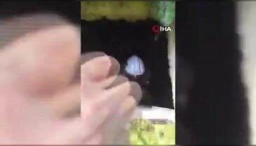 Atık su deposuna düşen minik kedi ekipleri harekete geçirdi