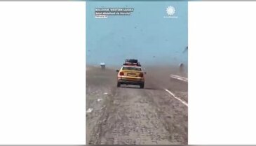 Kıyamet alameti gibi! Dev çekirge sürüsü otoyolu istila etti