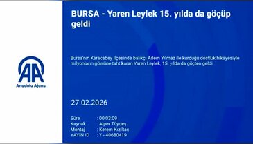 Bursa'da beklenen kavuşma gerçekleşti! Yaren leylek yine geldi