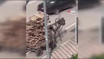 Bursa'da pes dedirten görüntüler