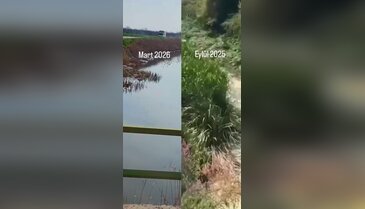 Bursa'da kuruyan dere mucize gibi geri döndü! Eylül'de çatlatmıştı, Mart'ta coştu...