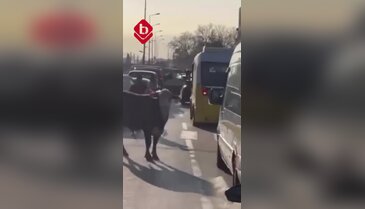 Bursa'da firari boğa ortalığı birbirine kattı! O anlar kamerada...