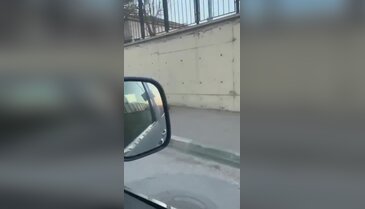 Bursa'da sokak ortasında acı manzara! İnsan kendine bunu neden yapar?