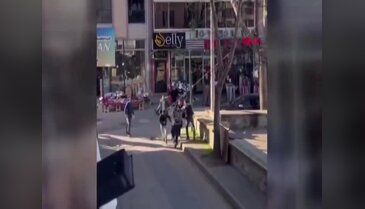 Bursa'da duba ve tabureli kavga