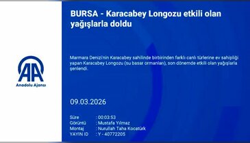 Bursa'nın longozunda tehlike henüz bitmedi!