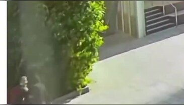 İsrailli milletvekili sokak ortasında bıçaklandı!