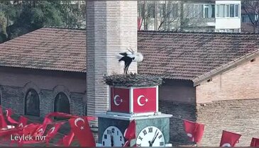 İznik'in Can leyleği geldi, gözler eşi Canan'da!