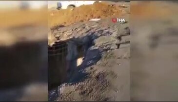 Türk şoför hayatını kaybetmişti: İsrail füzesinin vurduğu TIR'ın görüntüleri ortaya çıktı!