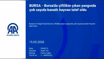Bursa'da yüzlerce hayvan telef oldu!