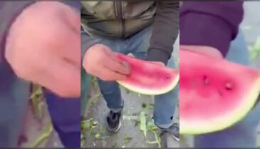 Karpuzu daha kırmızı göstermek için yaptığı rezilliğe bakın!