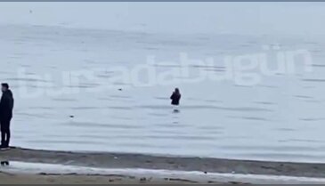 Bursa İznik sahilinde şaşırtan anlar! Gören dönüp bir daha baktı