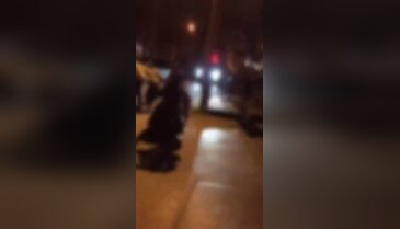 Bursa'da kaza sonrası dehşet! Yardım bekleyen aileye saldırı