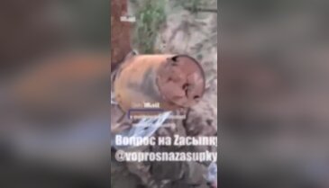 İnfial yaratan görüntü! Putin'in komutanları neler yapmış neler