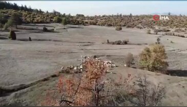 Bursa'da vahşice öldürülen kadının geçmişe ait görüntüleri ortaya çıktı
