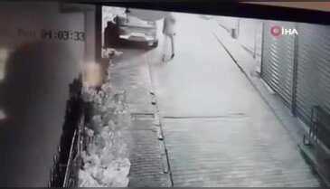 Bursa'da akılalmaz hırsızlık! Dakikalar içinde ağacı söküp götürdü...
