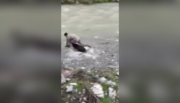 Polis memurunun Siirt'te çekilen görüntüsü Türkiye gündemine oturdu!